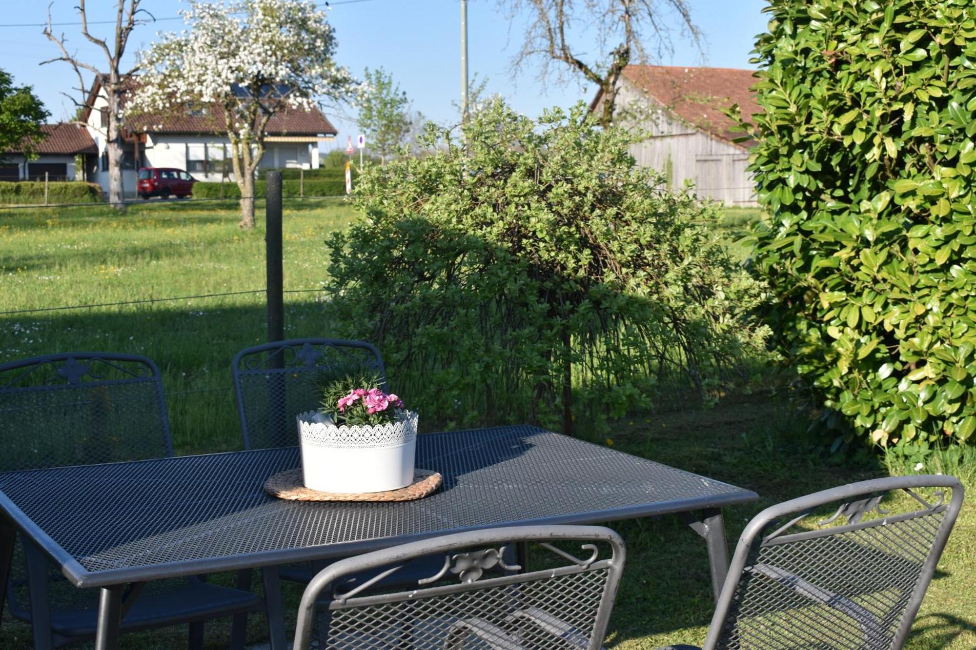 Ferien- Und Obsthof Dillmann Apartment Langenargen Luaran gambar