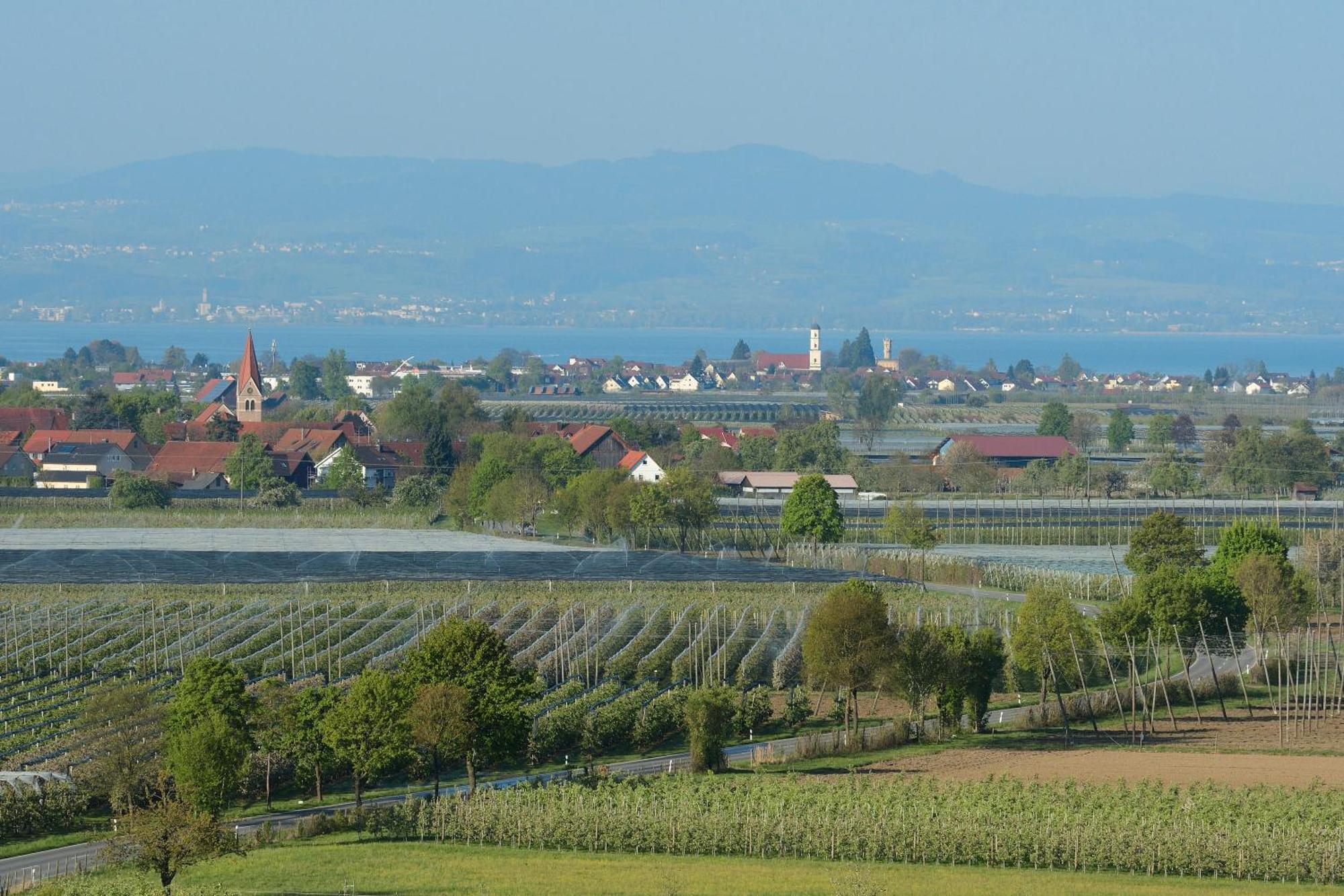 Ferien- Und Obsthof Dillmann Apartment Langenargen Luaran gambar